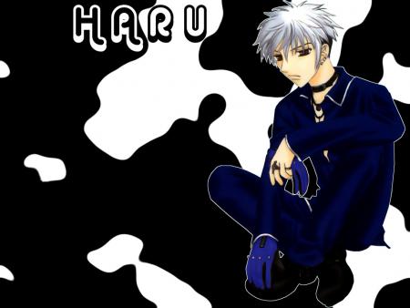 Haru